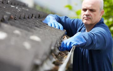 cleaning and inspecting Shelf roofs